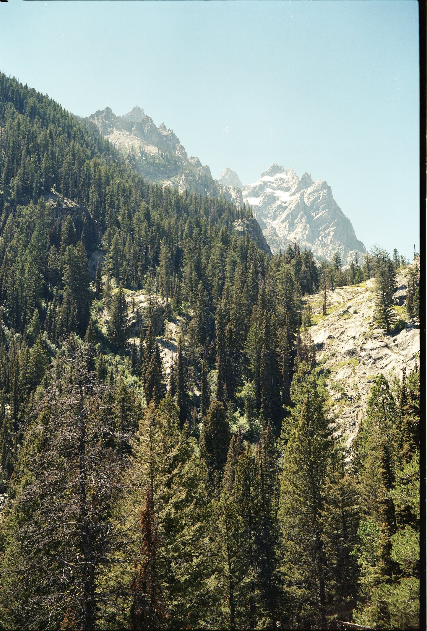 Cascade Canyon Trail to Hidden Falls on 35mm Film